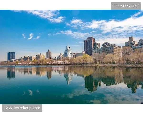 如何通过PA官方网站快速获取最新行业动态与官方公告