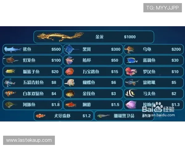 详细解析ag捕鱼王会员登录流程与最新安全保障措施，助你轻松畅玩游戏